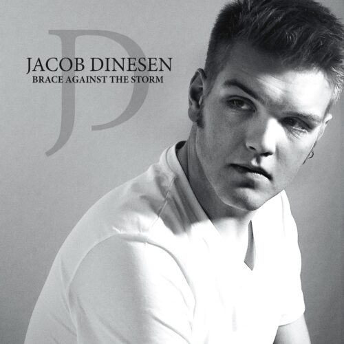 Jacob Dinesen Brace Against the storm vinyl lp
