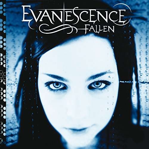 Evanescence Fallen lp vinyl