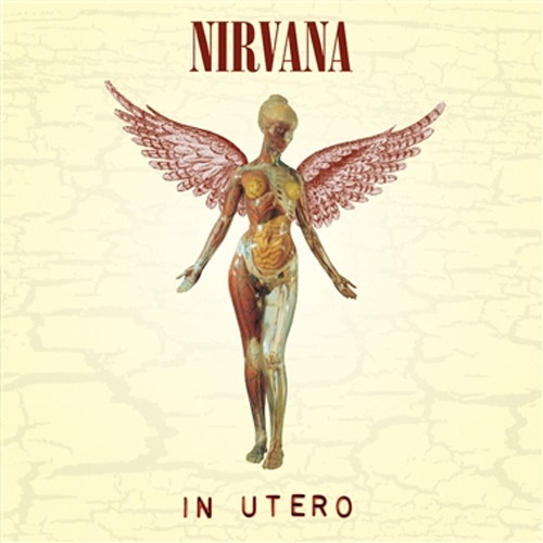 Nirvana In Utero vinyl lp