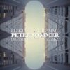 Peter Sommer Elskede at Drømme Drømmer Om at Elske lp vinyl