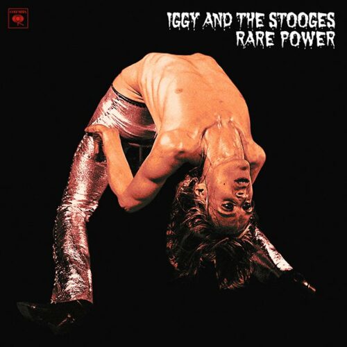 Iggy And The Stooges Rare Power lp vinyl