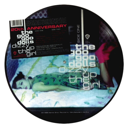 The Goo Goo Dolls Dizzy Up The Girl LP Picture Disc