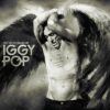 The Many Faces of Iggy Pop lp vinyl