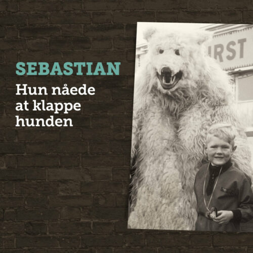 Sebastian Hun Nåede At Klappe Hunden lp vinyl