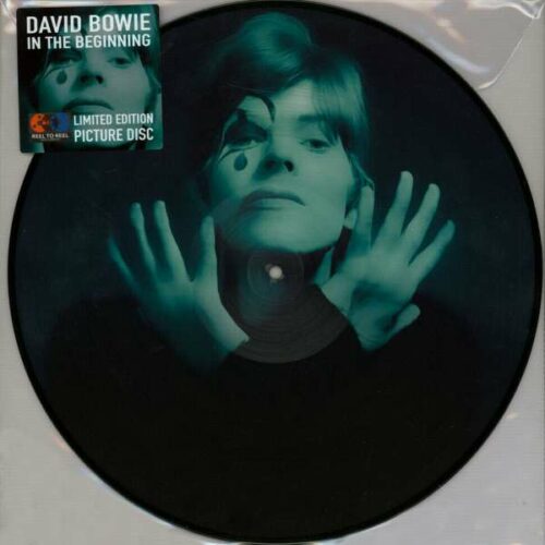 David Bowie In The Beginning picture disc vinyl lp