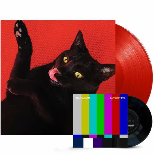 Ryan Adams Big Colors vinyl lp