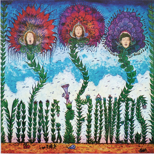 Young Flowers blomsterpistolen vinyl lp