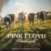 Pink Floyd Atomized vinyl lp