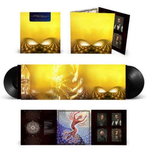Tool fear Inoculum vinyl lp