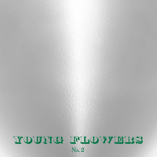 Young-flowers-no2-vinyl-lp