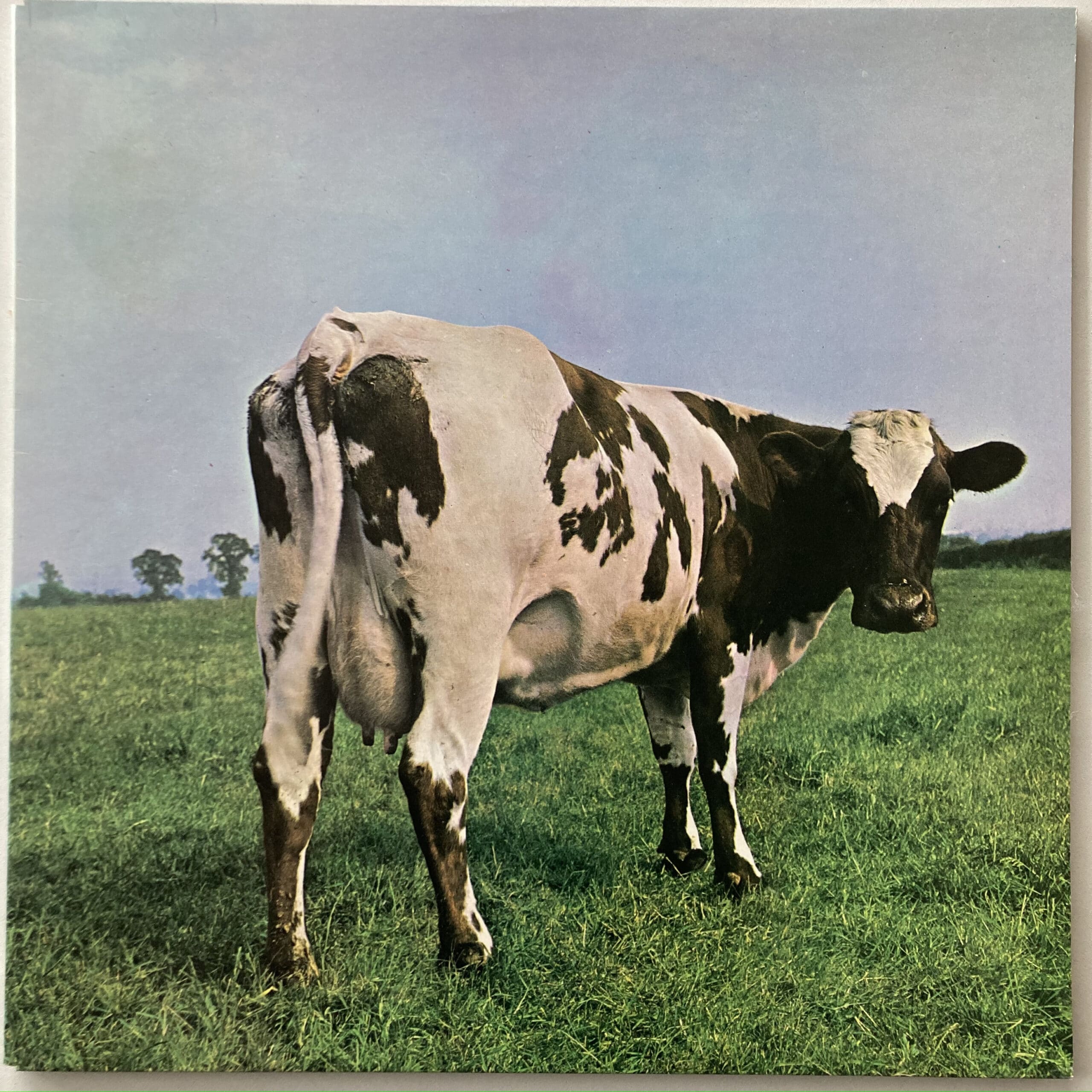 Pink Floyd Atom Mother Heart brugt vinyl lp