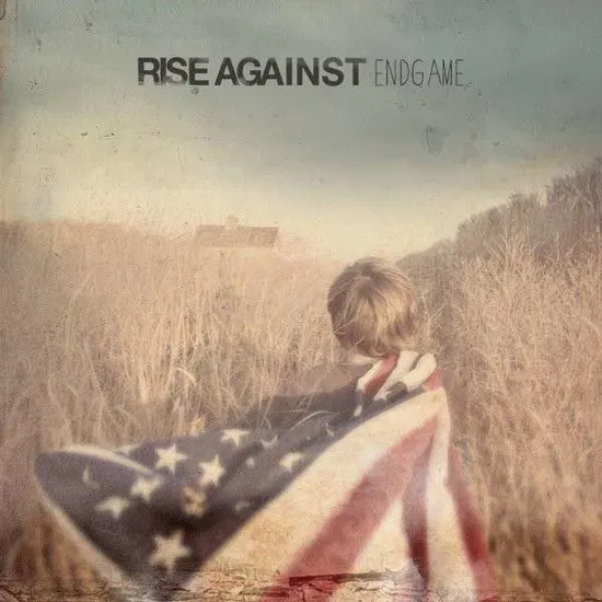 Rise against endgame vinyl lp